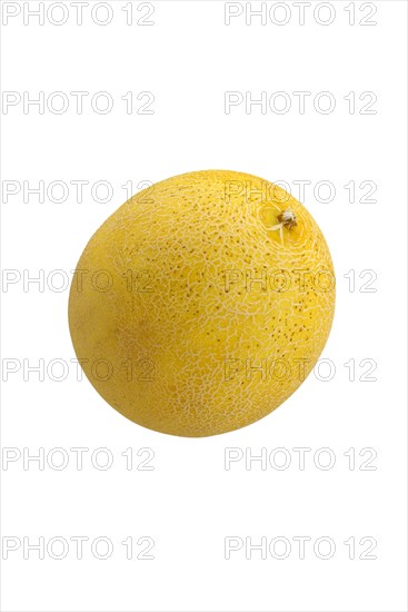 Galia melon or reticulated melon