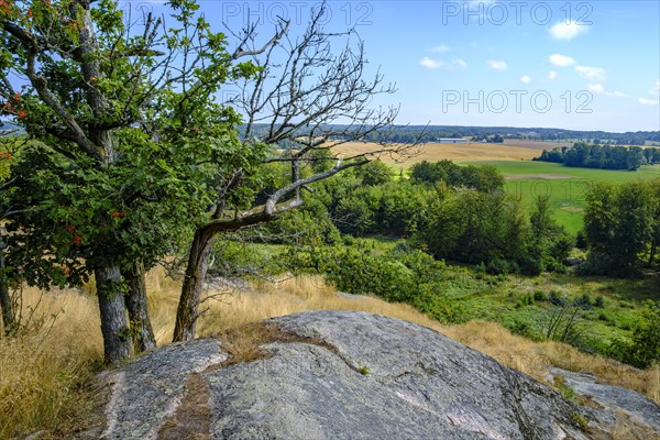 Beautiful view from the Dronningestenen at the edge of the Echo Valley