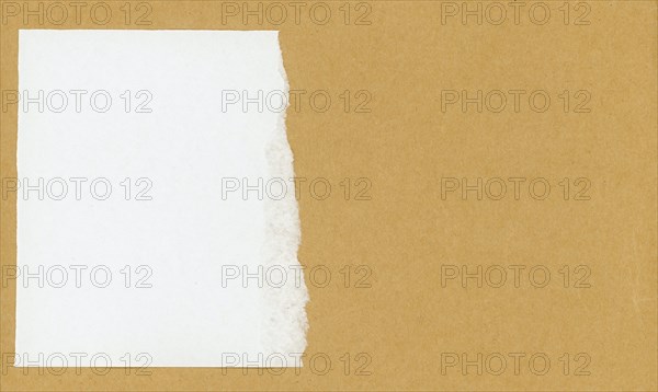 Blank slip of paper