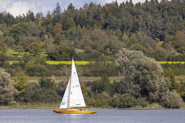 Autumn on Lake Constance