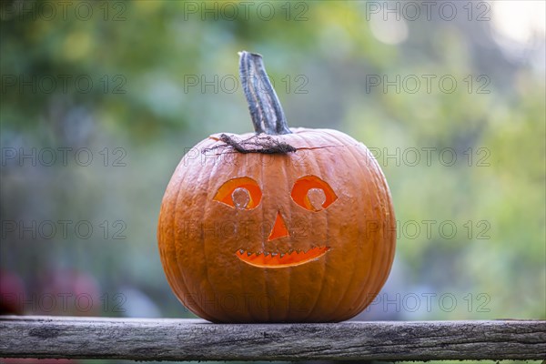 Carved pumpkin with laughing face