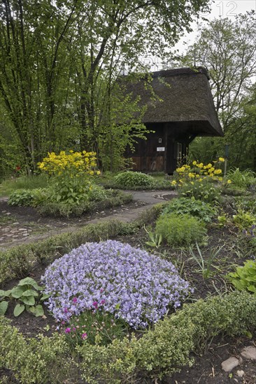 Cottage garden with cushion phlox