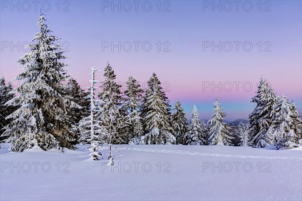 Winter landscape in the Black Forest