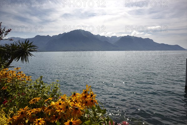 View over Lake Geneva to the Chablais Massif