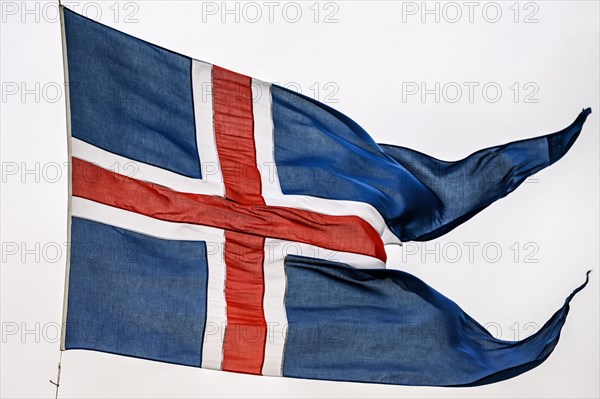 Icelandic flag in Thingvellir National Park