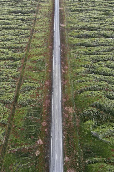 Ring Road 1 through moss-covered lava fields on the south coast of Iceland