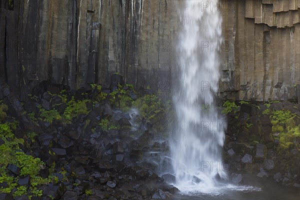 Basalt columns and Svartifoss