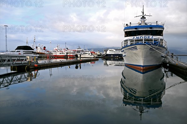 Boats in the old harbour of Reykjavik