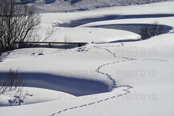 Meander in Schoenfeld