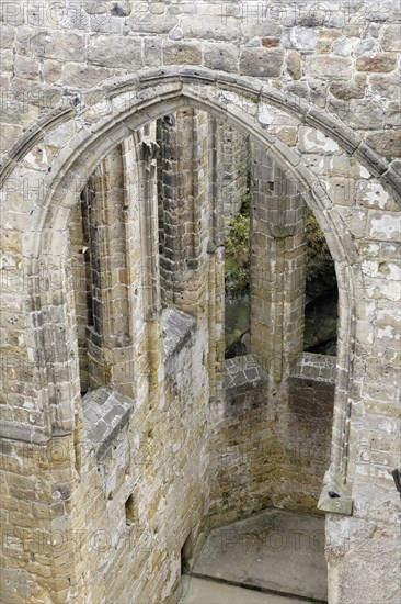 Castle ruins on Mount Oybin
