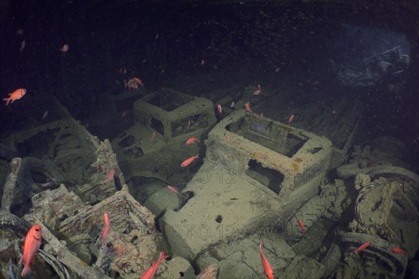 World War II truck Truck in the hold of the Thistlegorm