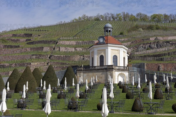 Belvedere Schloss Wackerbarth