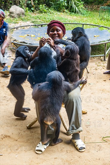 Bonobos