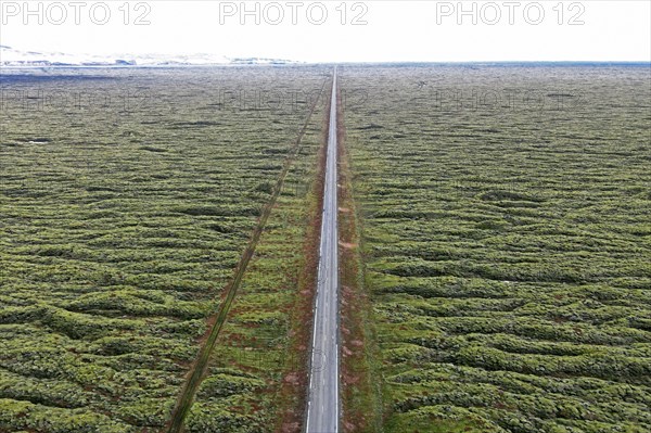 Ring Road 1 through moss-covered lava fields on the south coast of Iceland