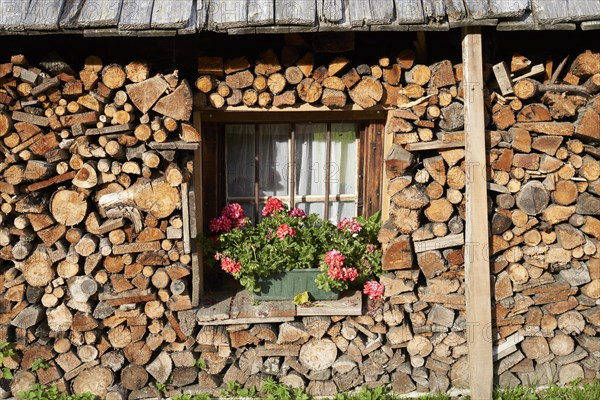 Flower window of the Esslhuette in Schoenfeld