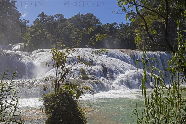 Cascadas de Agua Azul