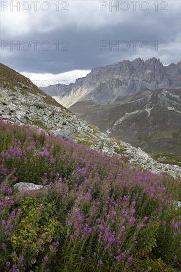 Col du Galibier