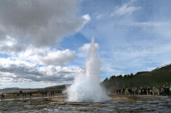 Geyser