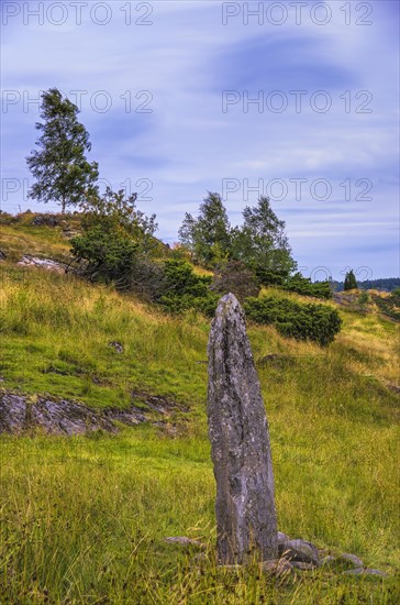 The rune stone from Hoga