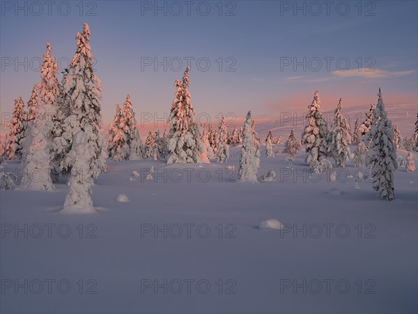 Sunrise in Pallas Yllaestunturi National Park