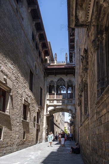 Artistic bridge between two buildings