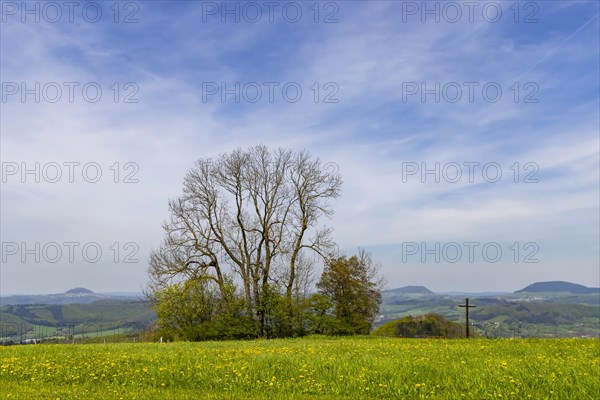 Spring on the Kuchalb