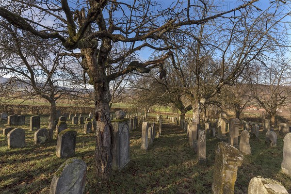 Historic Jewish cemetery