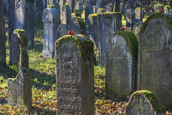 Historic Jewish cemetery