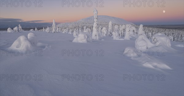 Full moon with day-night boundary and snow-covered trees over Pyhae-Luosto National Park