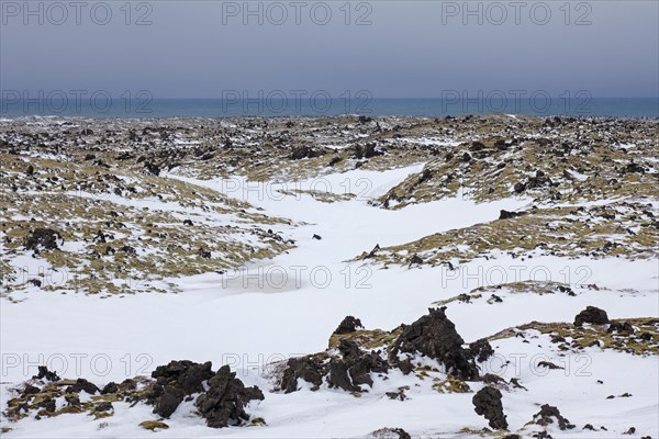 Lava field covered in snow at the Snaefellsjoekull National Park in winter on the Snaefellsnes peninsula in Iceland