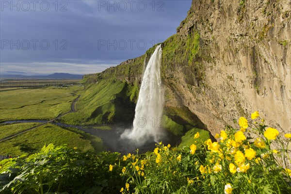 Seljalandsfoss waterfall