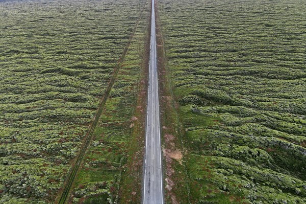 Ring Road 1 through moss-covered lava fields on the south coast of Iceland