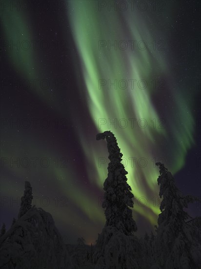 Northern Lights over Pallas-Yllaestunturi National Park