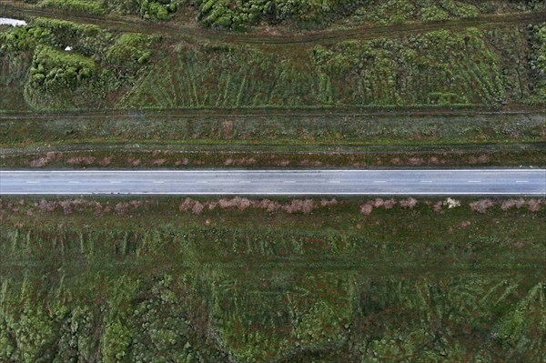 Ring Road 1 through moss-covered lava fields on the south coast of Iceland