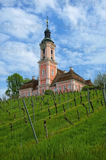 Vineyards