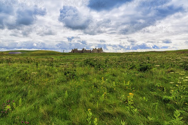 Cloudy sky over meadow