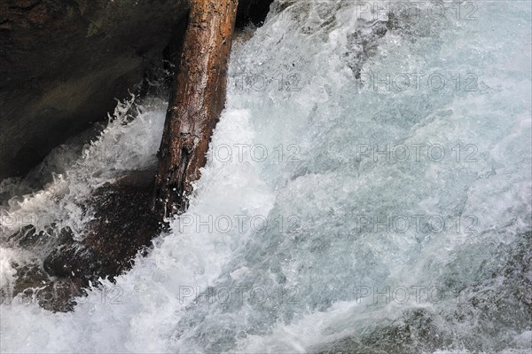 Tree trunk wedged in waterfall of the gave de Jeret in the Hautes-Pyrenees near Cauterets