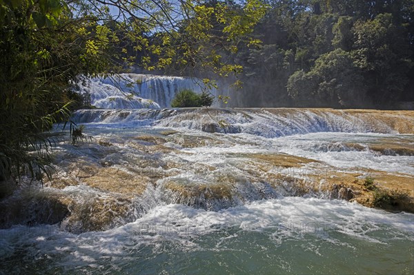 Cascadas de Agua Azul