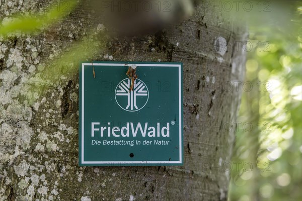 FriedWald