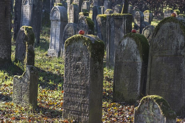 Historic Jewish cemetery