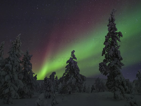 Northern Lights over Pallas-Yllaestunturi National Park