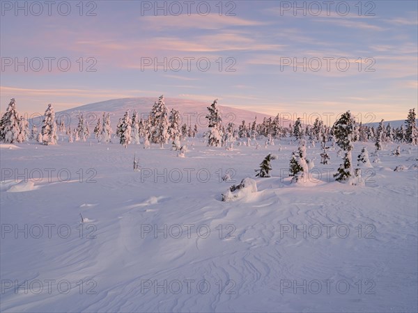 Morning atmosphere in wintry Pallas-Yllaestunturi National Park