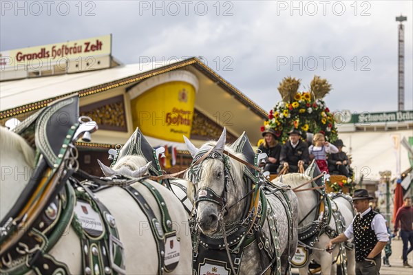 Brewery team of the Stuttgart breweries Swabia Braeu