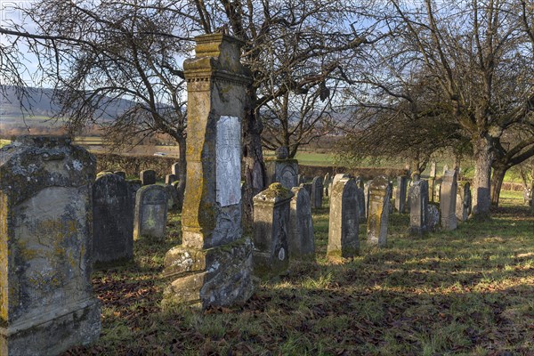 Historic Jewish cemetery