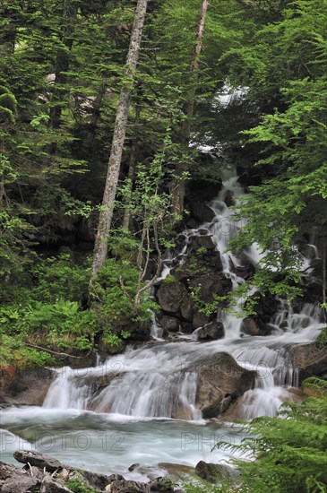 Waterfall near the Pont d'Espagne in the Hautes-Pyrenees near Cauterets