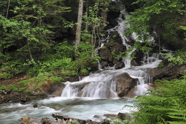 Waterfall near the Pont d'Espagne in the Hautes-Pyrenees near Cauterets