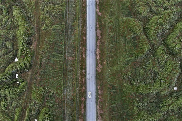 Ring Road 1 through moss-covered lava fields on the south coast of Iceland