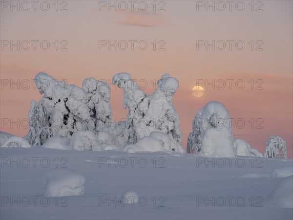 Full moon with day-night boundary and snow-covered trees over Pyhae-Luosto National Park