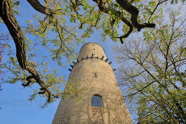 View up to the tower of the Godesburg