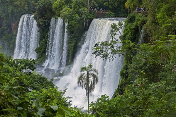 Iguazu Falls